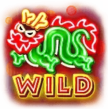 Wild symbol