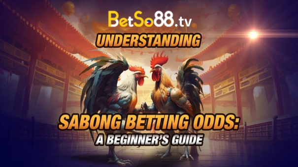 Sabong, or cockfighting, is one of the most exciting and traditional betting activities in the Philippines. As it moves into the online world, platforms like BetSo88 make it easier than ever for both new and experienced players to join in.
